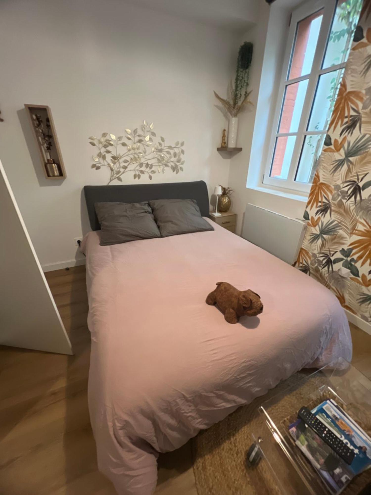Apartment Casa Nostra - T1 - Terrasse Privative Toulouse
